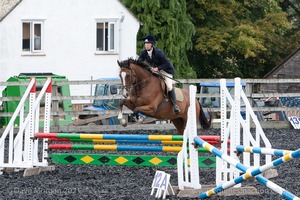 Class 6 - Fences not above 2'9